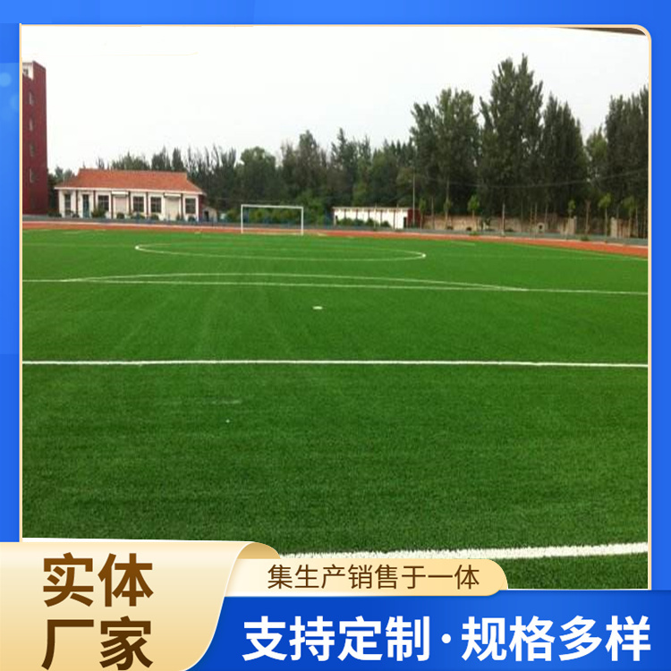 六盘水市塑胶篮球场人造草坪 - 哪里好